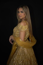 Yellow Net Lehenga Set with Silver Thread Work