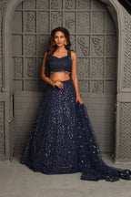 Beautiful tone on tone sequins lehenga set