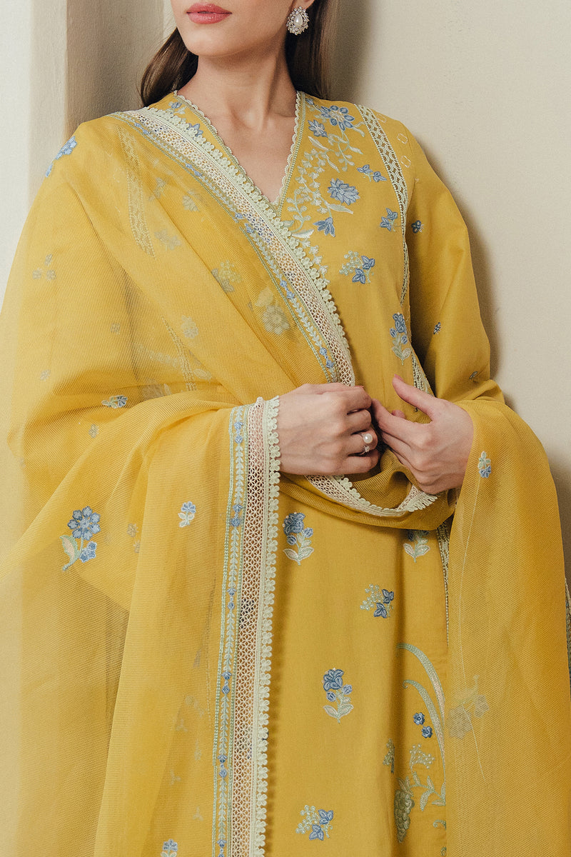 Afrozeh | Day Break 26 | Sunhaze